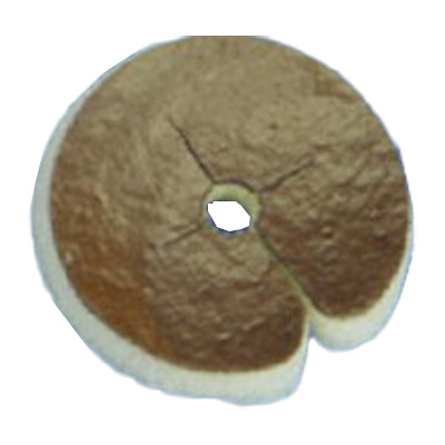 DeRoyal Algidex Ag IV PATCH Silver Alginate Catheter Foam Dressing, 1" Disc with 4mm Opening