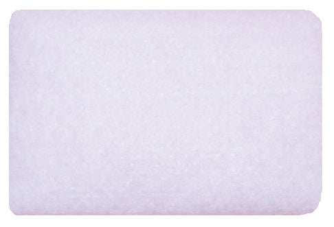 Roscoe CPAP Hypoallergenic Filter, for AirSense 10/S9 Series CPAP Machine