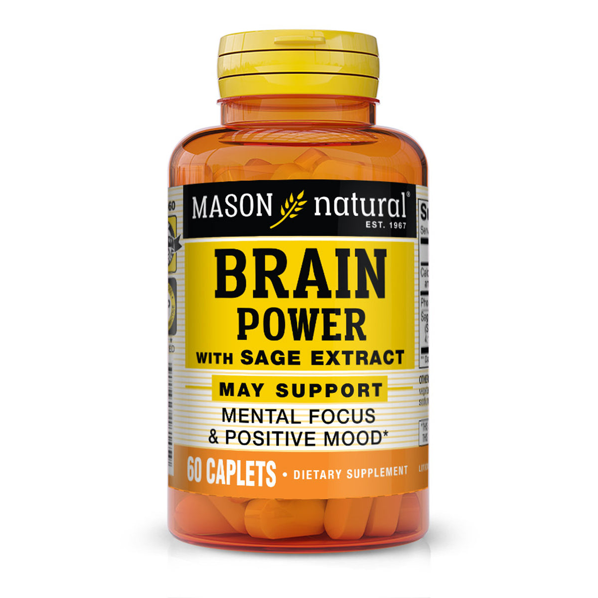 Mason Natural Brain Power with Sage Extract, 60 Caplets